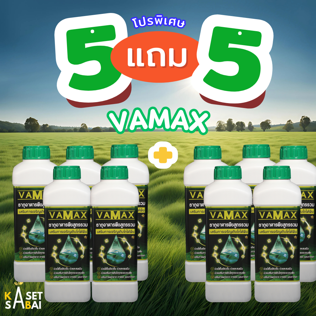 VAMAX 5แถม5 ปุ๋ยธาตุอาหารรวม เสริมการเจริญเติบโต  จัดส่งฟรี