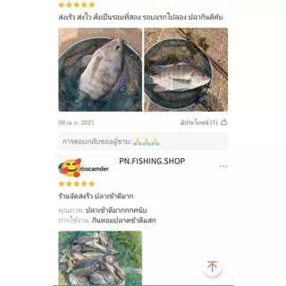 เหยื่อพร้อมตก(1 กิโลกรัม) สูตรตาล ผสมน้ำตกได้เลย เหยื่อสำเร็จสูตรตาล เหยื่อตาล เหยื่อสูตรตาล เหยื่อตกปลานิล เหยื่อตกปลา