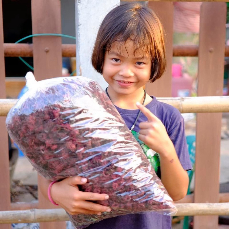 กระเจี๊ยบแดงแห้ง 10 kg.ปลอดสารเคมี เก็บใหม่ปี69