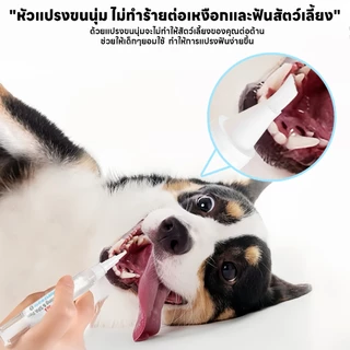 yoyopet: 2in1 ปากกาแปรงฟันสัตว์เลี้ยง ขจัดหินปูน ฟันขาวสวย ระงับกลิ่นปาก สุขภาพเหงือกดี ฟันแข็งแรง