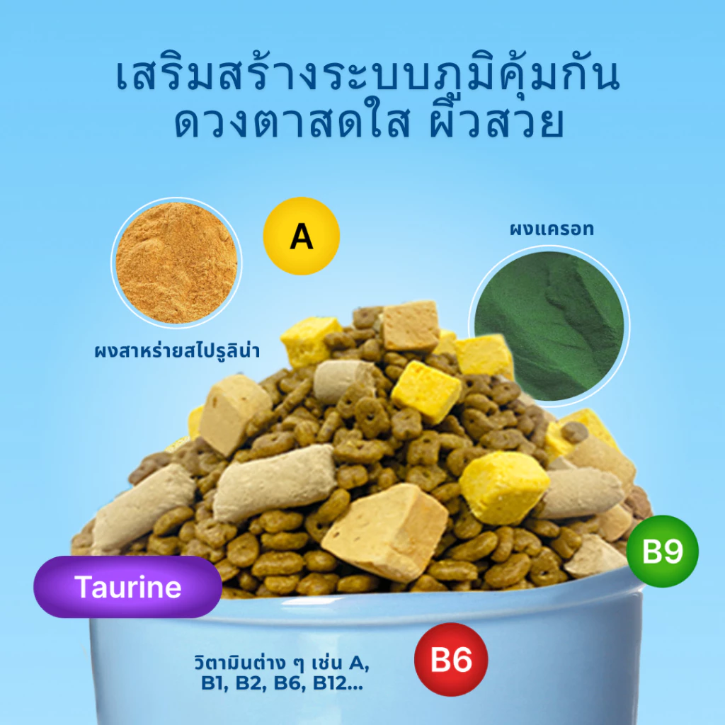MRVET อาหารแมว Holistic T1&T2 1kg - เหมาะสำหรับแมวทุกช่วงวัย thumbnail 6