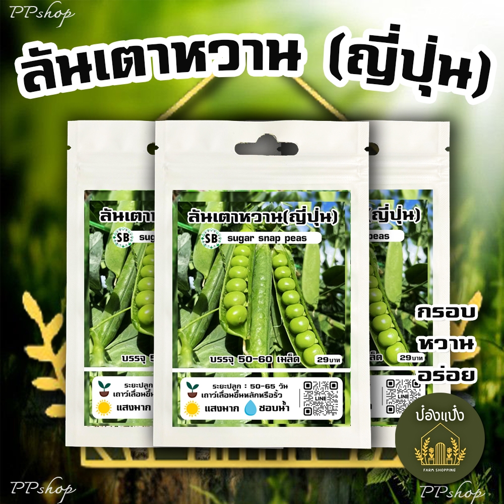 ลันเตาหวาน(ญี่ปุ่น) - เมล็ดโต-หวานกรอบ  50-60 เมล็ด/ซอง /// PPshop