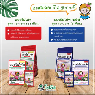 💙ออสโมโค้ท - พลัส สูตร 12-25-6)💙 ส่งเสริมการออกดอก✔️บำรุงดอก ดอกสมบูรณ์ ใส่ครั้งนึงอยู่ได้6เดือน