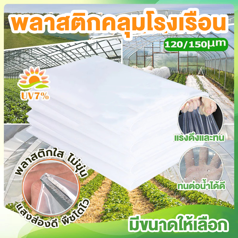 พลาสติกโรงเรือน พลาสติกใส พลาสติกPE หนา 120/150 ไมครอน โรงเรือน โรงเรือนเพาะชำ พลาสติกคลุมโรงเรือน พ