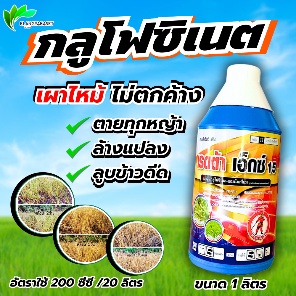 เรดต้า เอ็กซ์ 1 ลิตร (กลูโฟซิเนต-แอมโมเนียม) ออกฤทธิ์เผาไหม้ หญ้าตายดีตายไว ตายทุกหญ้า ตายลึกถึงราก