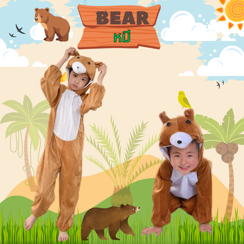 ชุดหมี Bear  ชุดแฟนซีเด็ก ชุดแฟนซีหมี ชุดแฟนซีสัตว์ ชุดมาสคอต ชุดสัตว์