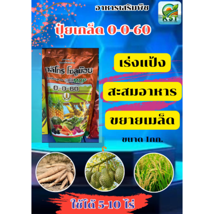 ปุ๋ยเกร็ด 0-0-60 ชาลีเฟรท ชนิดเกร็ดผง ละลายน้ำได้ดี ไม่มีตะกอน บรรจุ 1 กิโลกรัม เร่งหวาน เร่งสี เร่ง