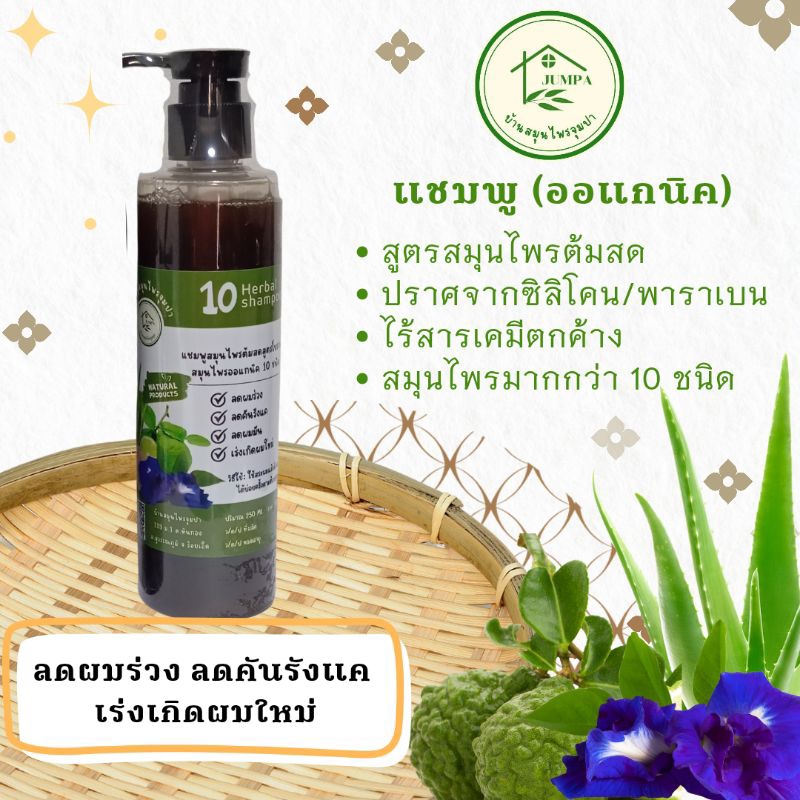 แชมพู ลดผมร่วง ลดคันรังแค ลดหงอกก่อนวัย เร่งเกิดผมใหม่