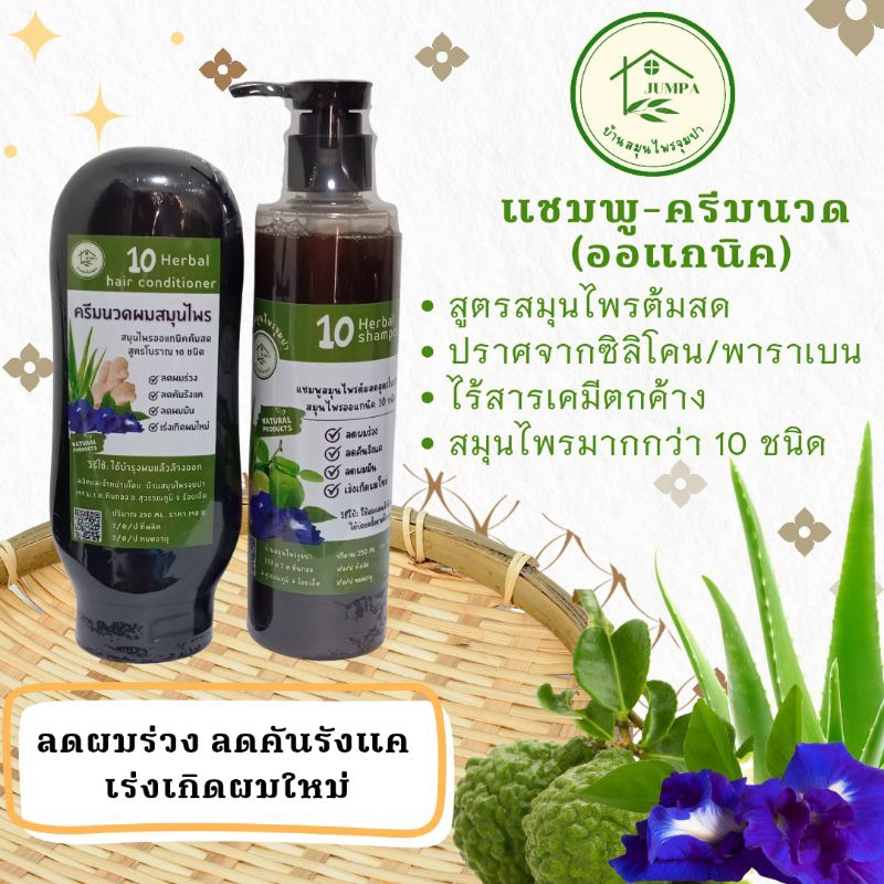 แชมพู ครีมนวด ยาสระผม ทรีทเม้นท์ ลด ผมร่วง คัน รังแค ผมหงอก กระตุ้นผมเกิดใหม่ สมุนไพร ออแกนิค