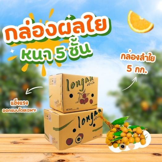 กล่องลำใย หนาพิเศษ 5 ชั้นแพ็ค 10 ใบ ใส่ผลไม้ลองกองได้เช่นกัน (แพ็ค10ใบ)
