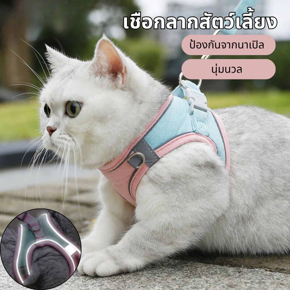 เชือกจูงแมววัสดุเรืองแสง thumbnail 3