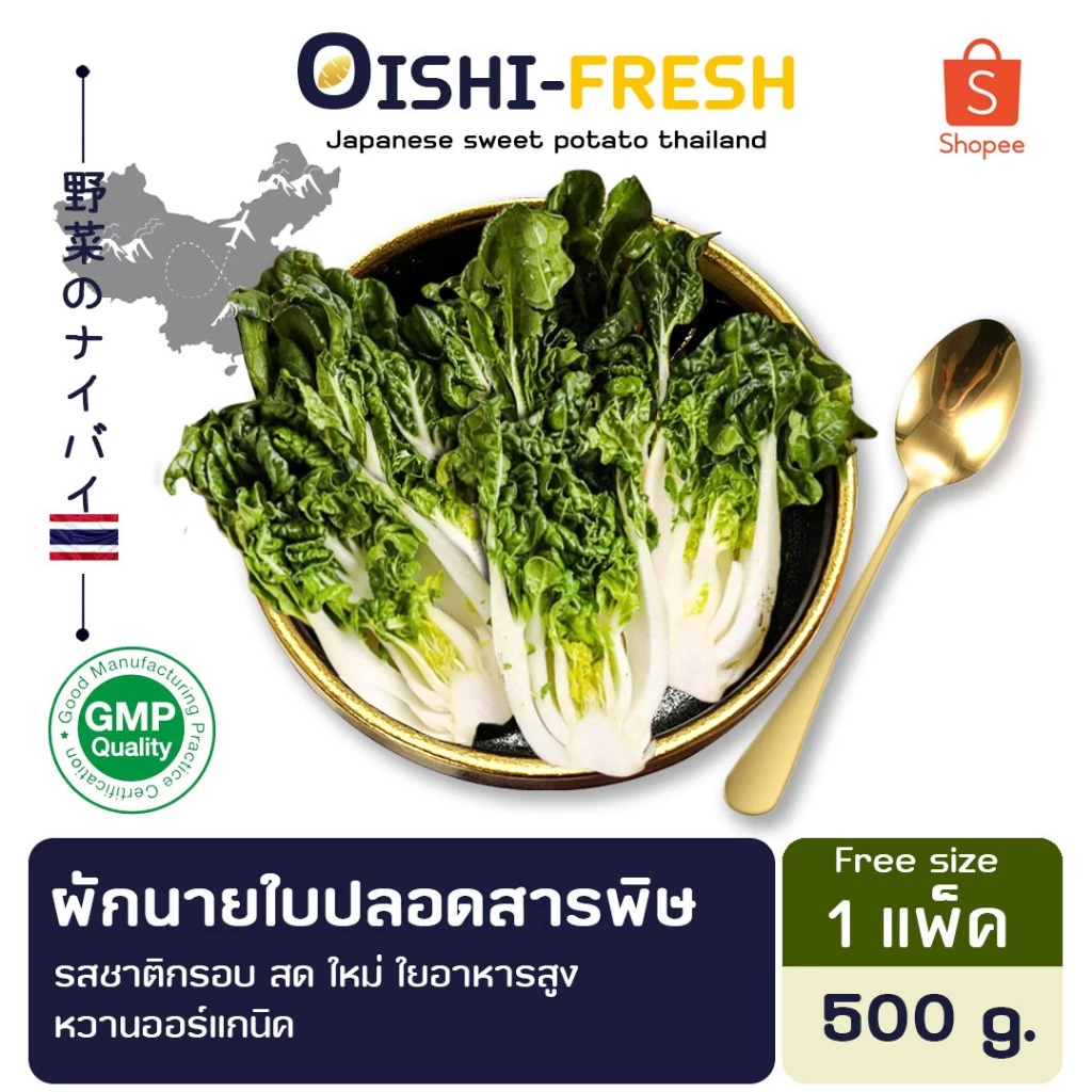 🛒Oishi-Fresh🥬ผักฉ่อย ปลอดสารพิษ 1 กก. รสชาติกรอบ สด ใหม่ ใยอาหารสูง หวานออร์แกนิค เคลมได้ 1-2 วัน