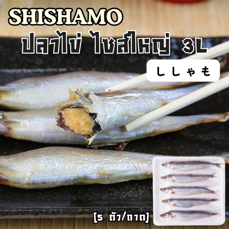 [ไซส์ใหญ่ 3L] ปลาไข่ ปลาชิชาโมะ Shishamo Capelin