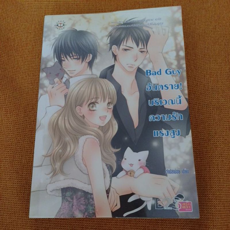Bad Guy อันตรายบริเวณนี้ความรักเเรงสูง