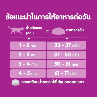 Whiskas วิสกัส อาหารแมวชนิดเม็ด ลูกแมวและแมวโต ขนาด 2.7- 3 Kg.