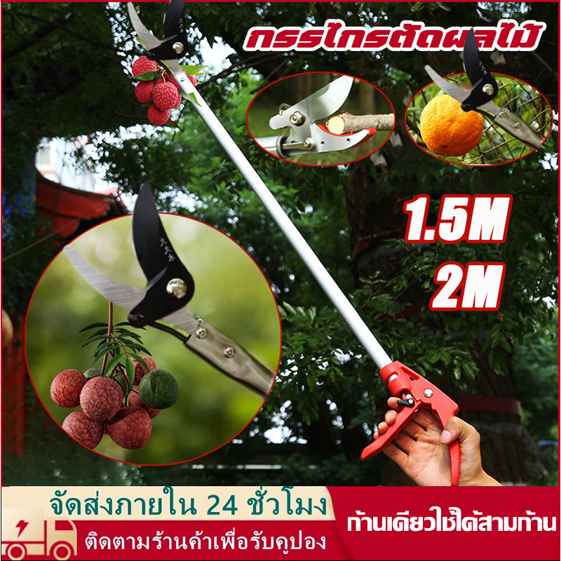 กรรไกรตัดกิ่ง กรรไกรตัดผลไม้ SK5 (กรรไกรยาว 2 เมตร) การเก็บผลไม้ การตัดแต่งกิ่ง กรรไกรตัดหนีบผลไม้ด้ามยาว 2025no.1