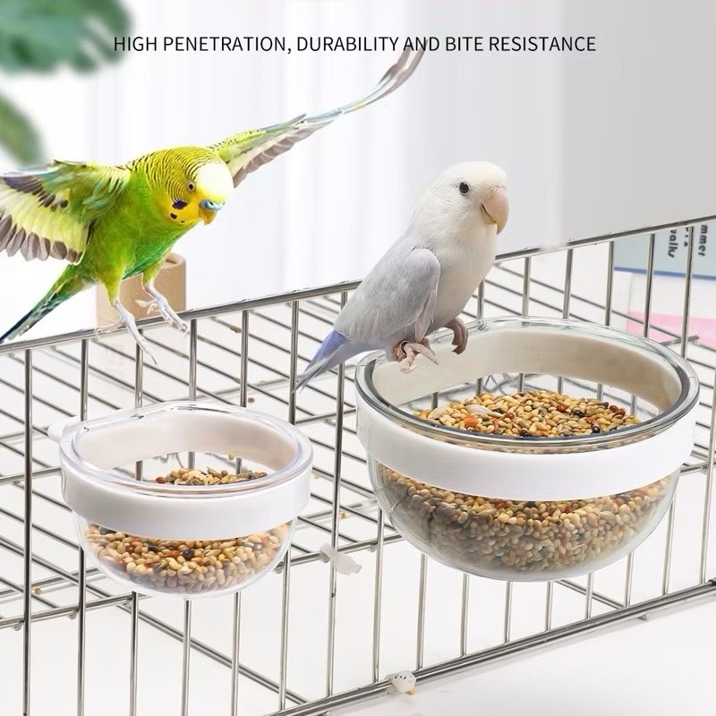 D-52 ถ้วยอาหารและน้ำนกแก้ว เหมาะสำหรับนกแก้วขนาดเล็ก