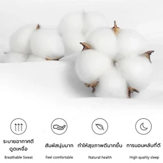 ปลอกกันเปื้อนหมอน ปลอกหมอน ปลอกหมอนกันไรฝุ่น ผ้าฝ้าย100% ปลอกหมอนหนุน กันไรฝุ่น กันน้ำลาย กันเหงื่อ นุ่ม Pillow Case