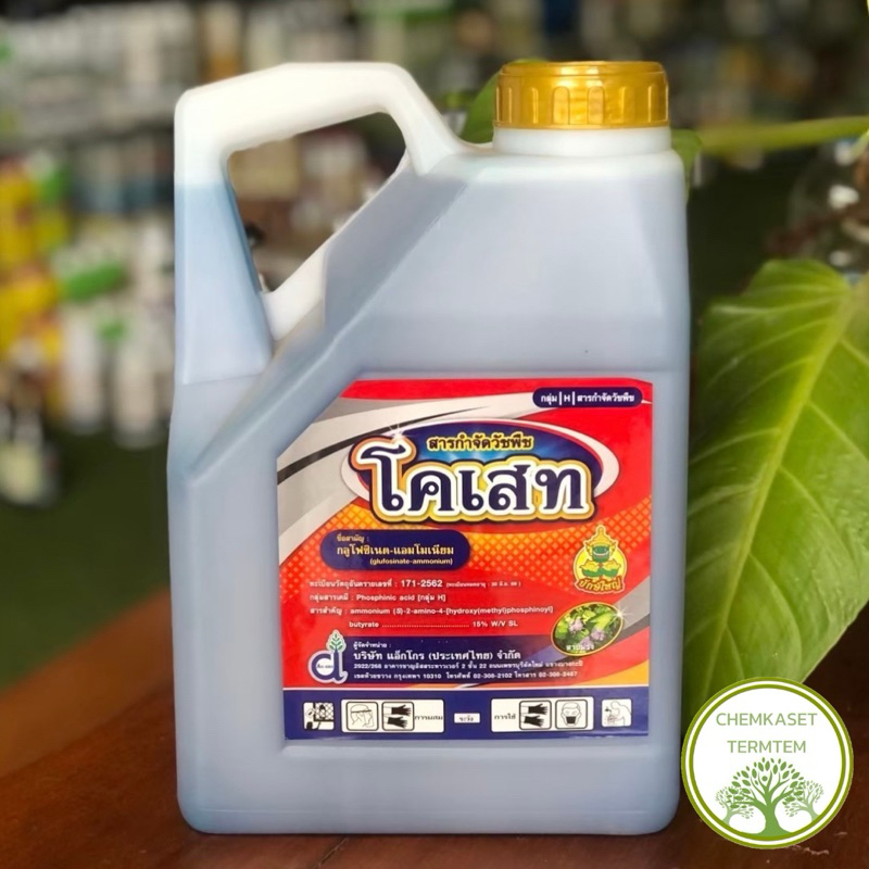 โคเสท🍀กลูโฟซิเนต-แอมโมเนียม15% W/V SL ขนาด 4 ลิตร