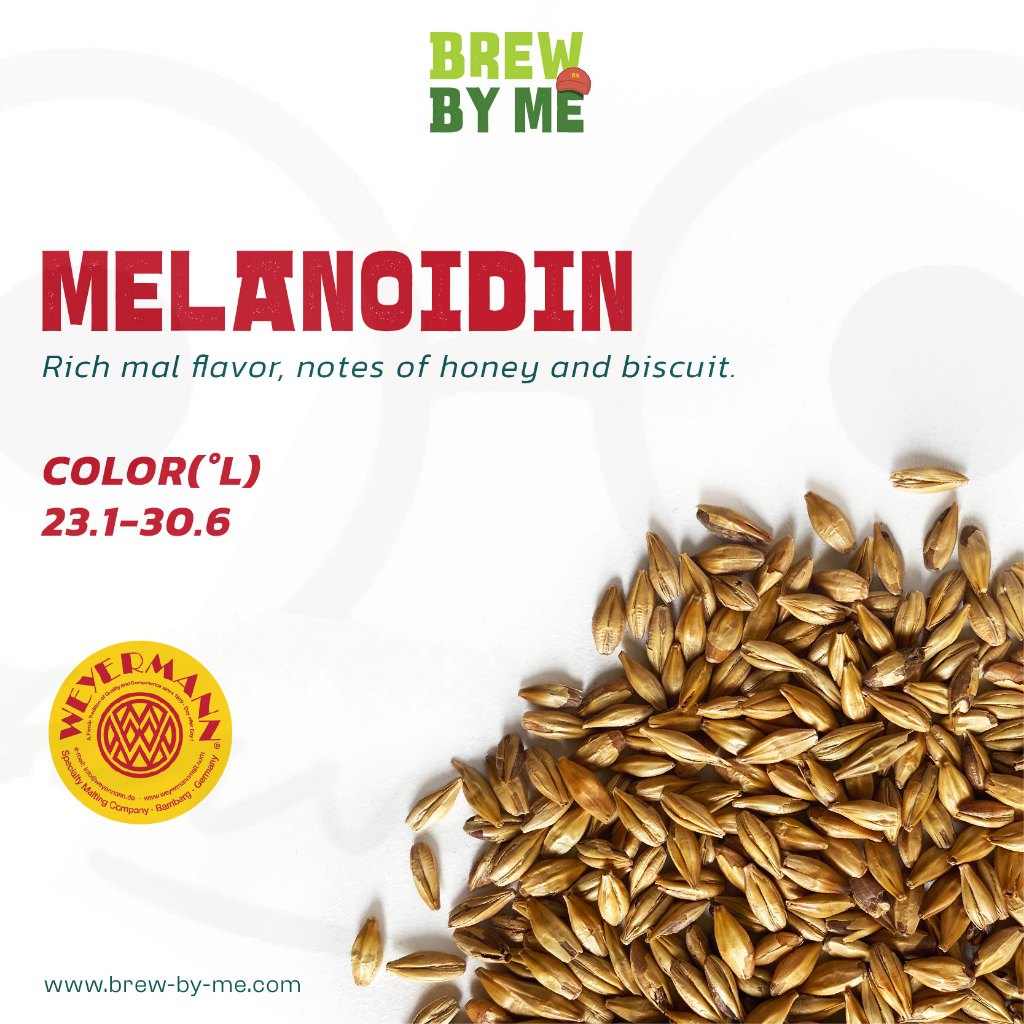 มอลต์ | Melanoidin – Weyermann® Malt ทำเบียร์