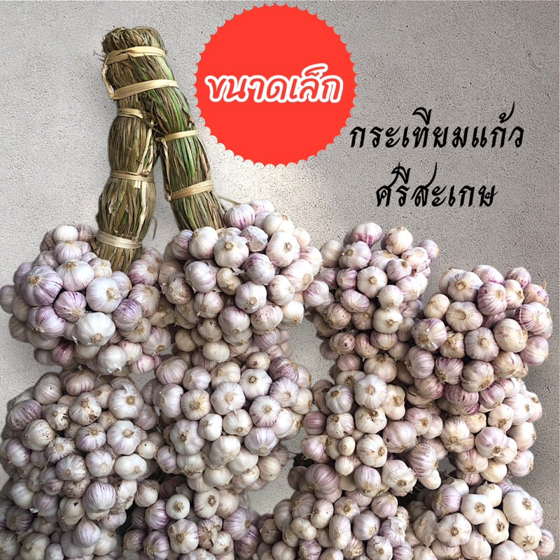 กระเทียมแก้ว กลาง 1กก. ศรีสะเกษ