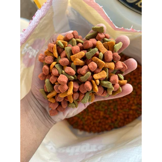 หัวเชื้อเพดดีกรี พาเลาะสูตรเข้มข้น งานปลานิล บ่อเหมา