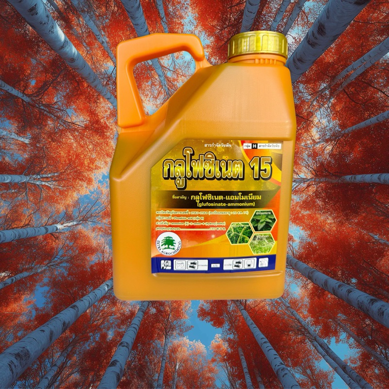 แกลลอนส้ม กลูโฟซิเนต15 4ลิตร สูตรน้ำเขียว กำจัดแบบไม่เลือกหญ้า ใข้ในสวนผลไม้ ไร่มัน ไร่อ้อย ข้าวโพด สวนทั่วไป - รูปที่ 2