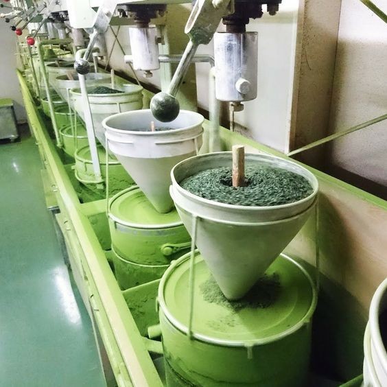 ผงชาเขียวมัทฉะเกรดงานพิธี100% จากเมืองยาเมะฟุกุโอกะ ขนาด 40g(Ceremonial Gold Yame Matcha from Japan) - รูปที่ 7