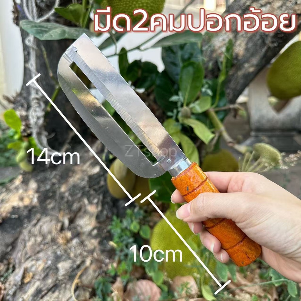 มีดอรัญญิก 2คม ปอกอ้อย สับมะละกอ ขนาด26ซม. มีดมีดปอกอ้อย มีดปอกผลไม้ มีด