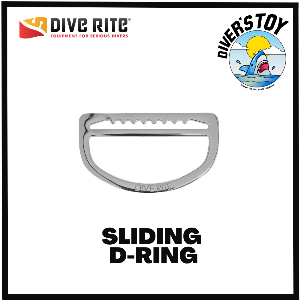Sliding D-Ring, Stainless Steel Dive Rite