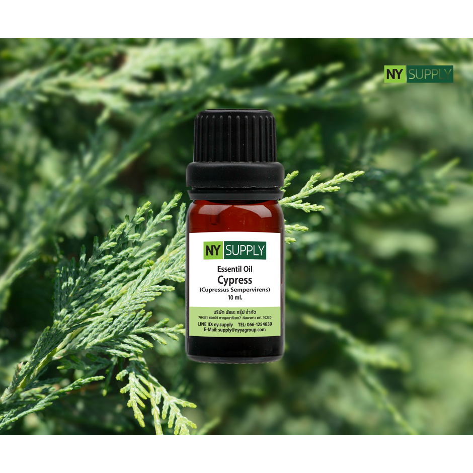 NY Supply น้ำมันหอมระเหยไซเปรส (Cypress Essential Oil)
