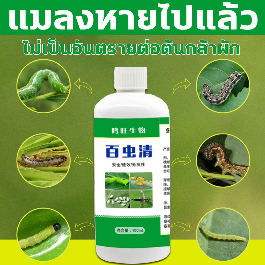 สารสกัดกำจัดหนอนออร์แกนิค ฆ่าแมลงหลายชนิด ให้ผลอย่างรวดเร็ว 100ml ใช้ ไล่ กำจัดเพลี้ย แมลง หนอน ใช้กับพืช ติดทนนาน