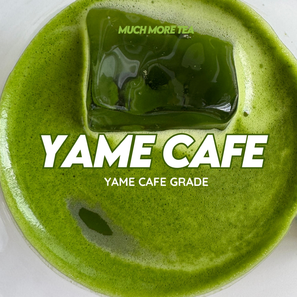 Yame Matcha | Cafe grade | Nutty + Bright Green l Much More Tea