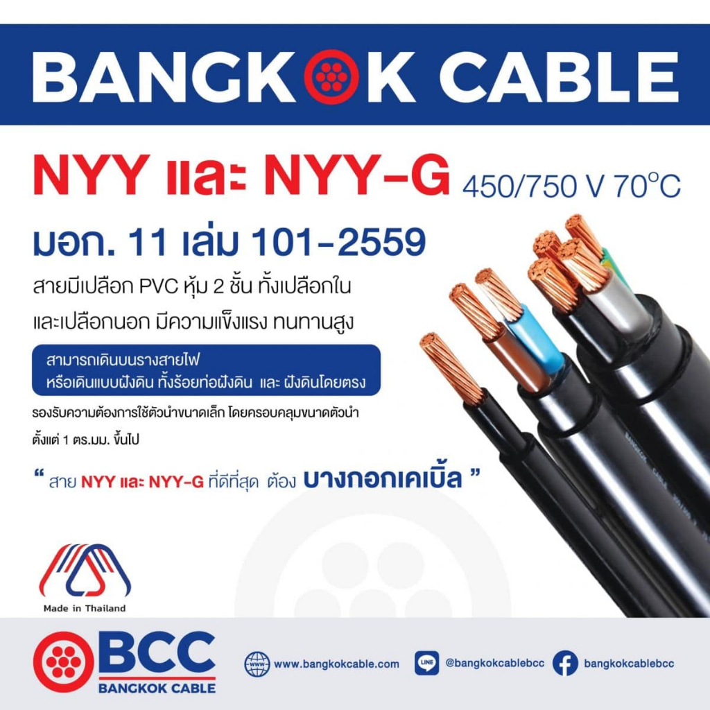 สายไฟ NYY 2x2.5 ตร.มม 100 เมตร ยี่ห้อ BCC