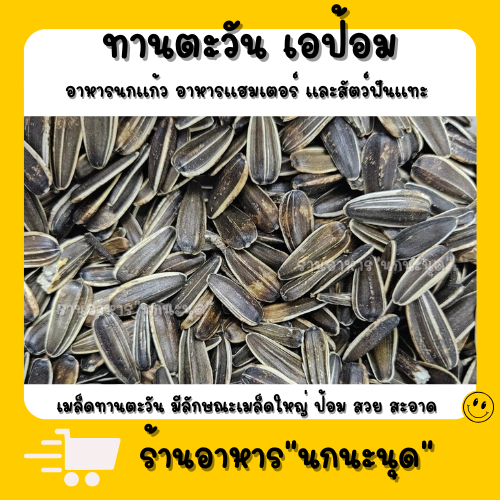 ทานตะวันนก เอป้อม 500 กรัม