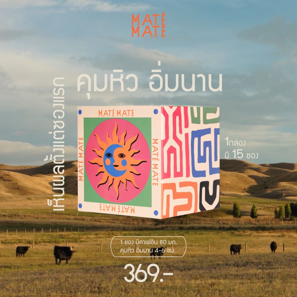 MATE MATE (มาเต้ เมท) 100% ชาเยอร์บามาเต้แท้ กินง่าย ไม่ขม จากประเทศ อาร์เจนติน่า Organic Unsmoked