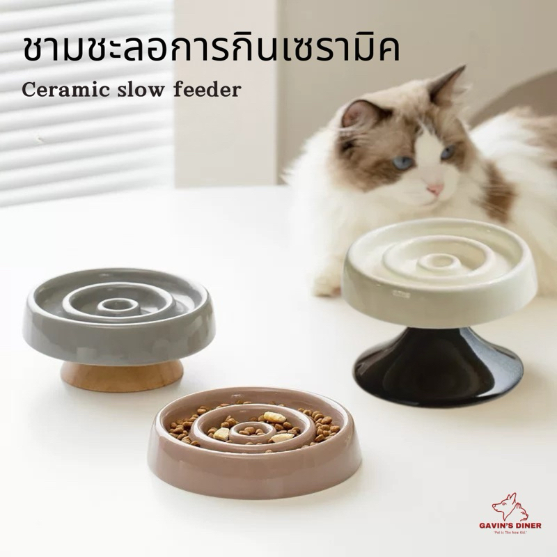 [⏳พร้อมส่ง⏳] ฐานเซรามิคเข้าแล้ว  ชามชะลอการกิน สำหรับน้องหมาและน้องแมว สำหรับน้องๆที่กินเร็วเกินไป สายกินตัวจริงต้องมี! ราคา ถูกที่สุด ดีลบีเคเค