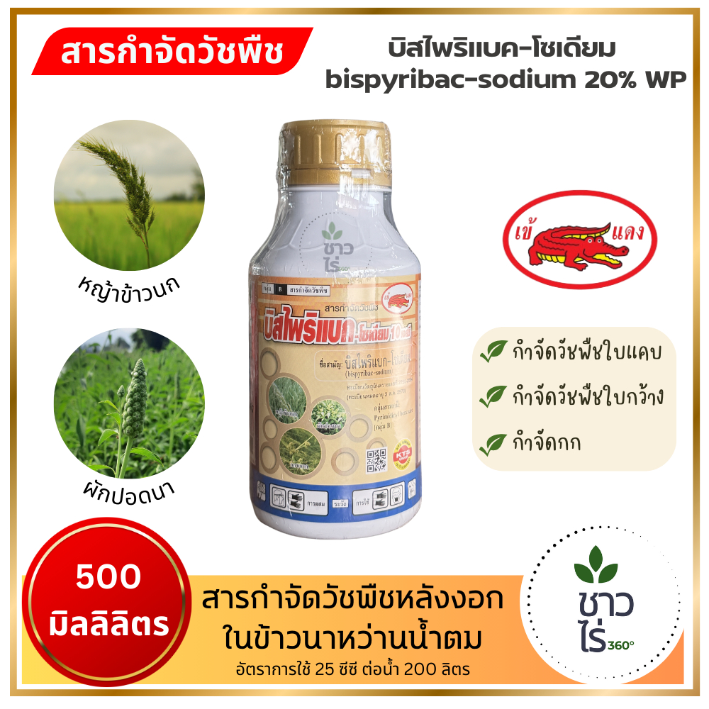 บิสไพริแบก-โซเดียม 10 เอสซี  500 ซีซี ตราเข้แดง สารกำจัดวัชพืชหลังงอกในข้าวนาหว่านน้ำตม หญ้าข้าวนก หนวดปลาดก กกทราย กก