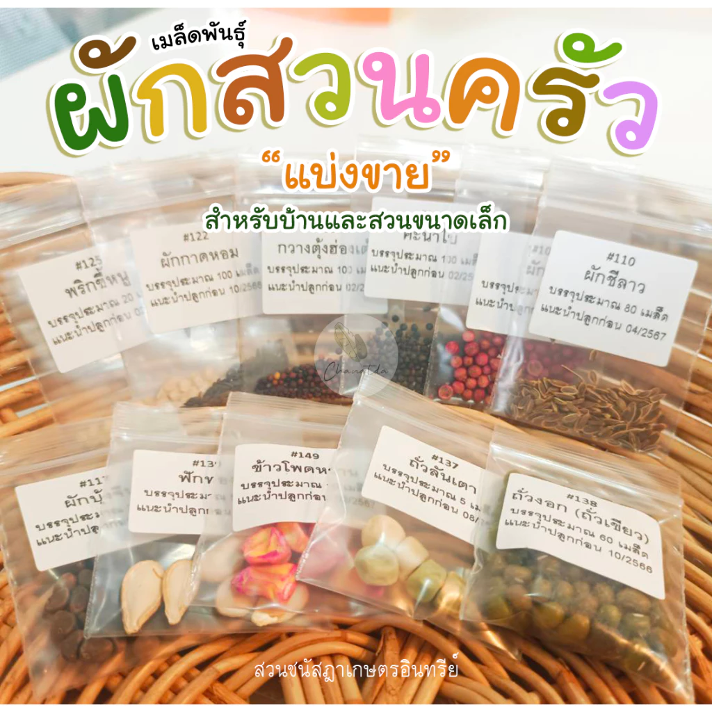 [ติดตามลด 20%] เมล็ดผักสวนครัว แบ่งขาย เหมาะสำหรับทดลองปลูกหรือสวนขนาดเล็ก thumbnail 5