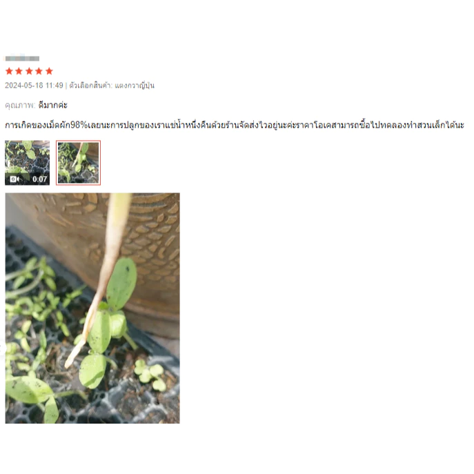 [ติดตามลด 20%] เมล็ดผักสวนครัว แบ่งขาย เหมาะสำหรับทดลองปลูกหรือสวนขนาดเล็ก thumbnail 7
