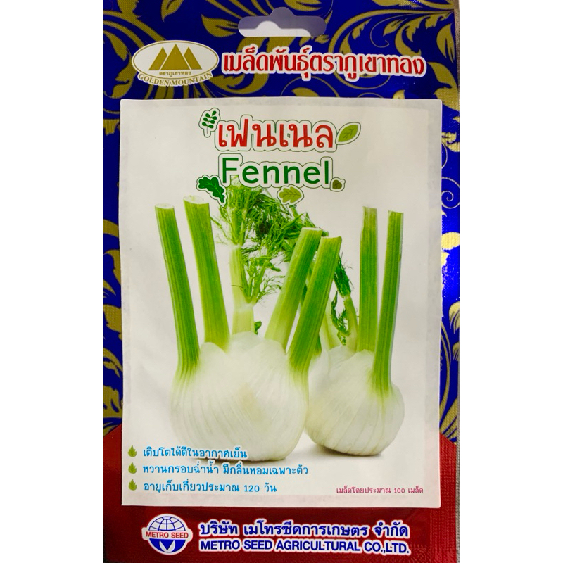 เมล็ดเฟนเนล Fennel พืชสมุนไพร ใช้ปรุงอาหาร อร่อย รสชาติดี
