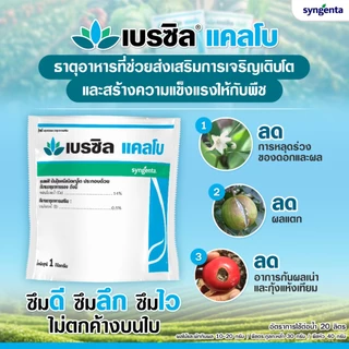 เบรซิล แคลโบ ขนาด 1 กก.แคลเซียมโบรอน ผง ลดผลแตก ลดการหลุดร่วงของดอกและผล ช่วยเพิ่มการติดผลผลิต