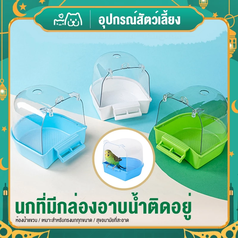 นกแก้วอ่างอาบน้ําดอกโบตั๋น, หนังเสือ, นกเหวิน, สะอาดพร้อมอ่างอาบน้ํา
