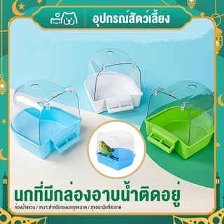 นกแก้วอ่างอาบน้ําดอกโบตั๋น, หนังเสือ, นกเหวิน, สะอาดพร้อมอ่างอาบน้ํา