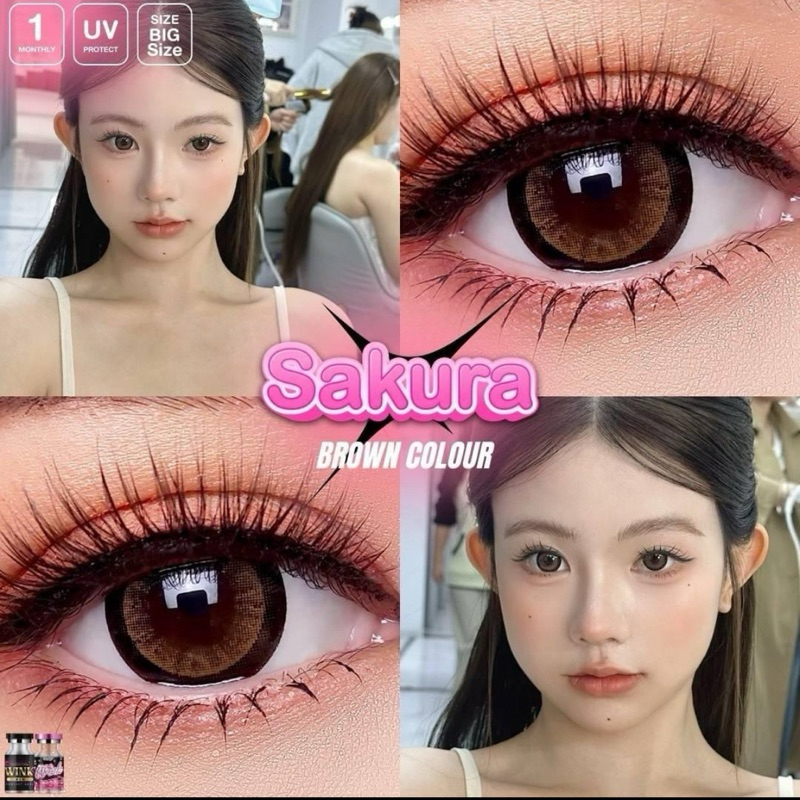 คอนแทคเลนส์ Sakura(14.5mm)