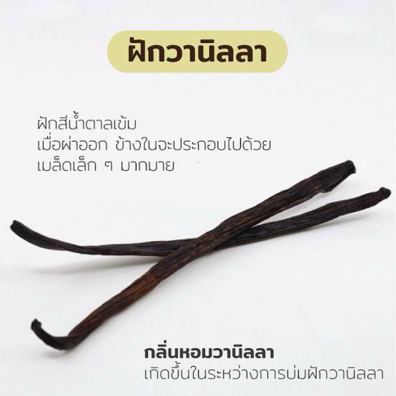 ฝัก วนิลานำเข้า จาก madagascars vanilla pods
