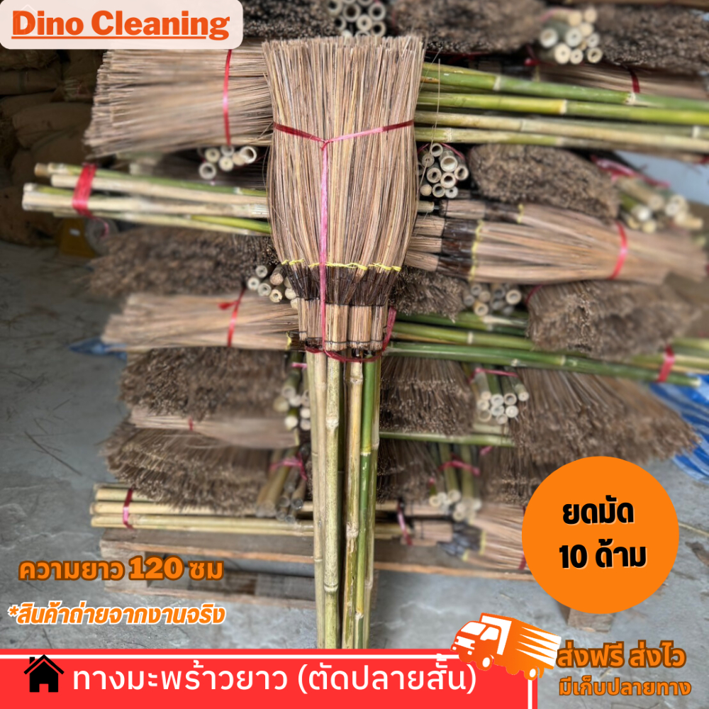 ไม้กวาดทางมะพร้าวตัดปลาย (ยกมัด 10 ด้าม) ตัดปลายสั้น OTOP เเข็งเเรง ทนทาน พร้อมส่ง ความยาว 120 เซนติเมตร