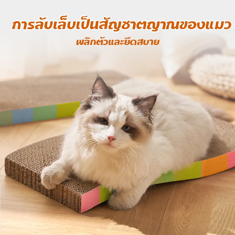 ที่ลับเล็บแมว กระดานลับเล็บแมว ของเล่นแมว ราคาถูก โซฟาที่ลับเล็บแมว กระดาษลูกฟูก ที่ลับเล็บ
