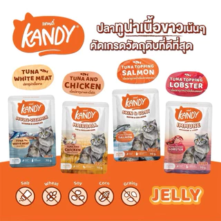 (แบบโหล)Kandy Cat Pouch in Jelly ❤️😺 แคนดี้ อาหารเปียกสำหรับแมวในเยลลี่บรรจุ 70g*12
