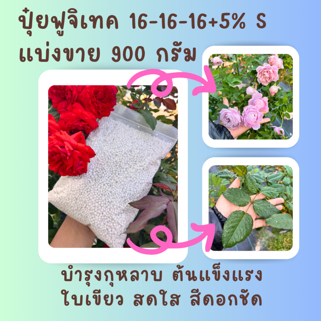 ปุ๋ยบำรุงกุหลาบสูตรเสมอ+5% S แบ่งขาย 900 กรัม